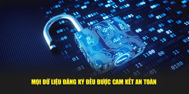 Mọi dữ liệu đăng ký đều được cam kết an toàn
